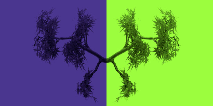 Le Court du mois - Novembre