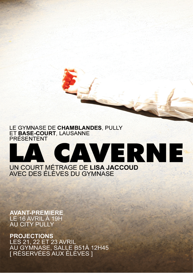 Afficher Chamblandes 2008 "La Caverne"